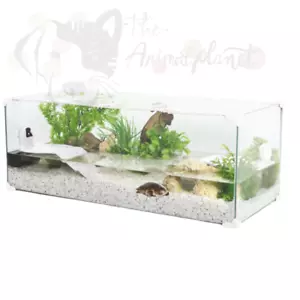 Terrario Tartarughiera tartarughe tartaruga anfibi completa di filtro 100cm 120L - Foto 1 di 7