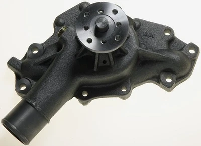 Nuevo kit de bomba GMC F-(S) genuino 19168611 / 19168611 OEM Foto 1 de 4