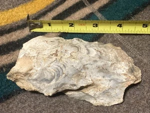 Native American Artifact Hand Tool Saline County Missouri - Picture 1 of 18