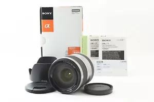 [Top MINT in Box] Sony E 18-200mm f/3.5-6.3 Zoom silver Lens for sony From Japan - Picture 1 of 24
