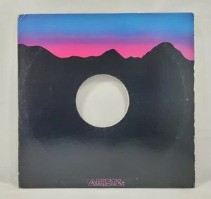 Taylor Dayne - Don't Rush Me [1988 Promo] [Used Vinyl Record 12" Single] - Picture 1 of 4