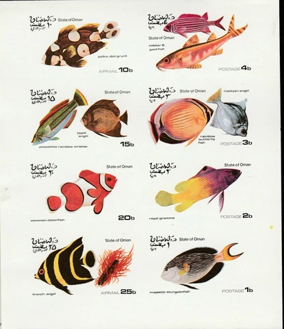 Fish Oman Mint 343 Cover