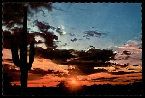 Postkarte Sonnenuntergang Saguaro Silhouette, Phönix, AZ - Bild 1 von 2
