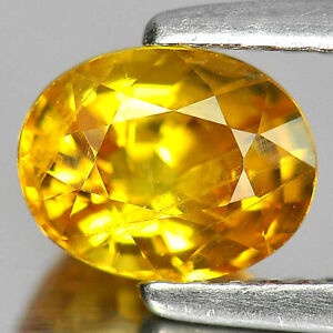 Yellow Sapphire 1.30 Ct. Oval Shape 7 x 5.5 x 4.2 Mm. Natural Gemstone Thailand