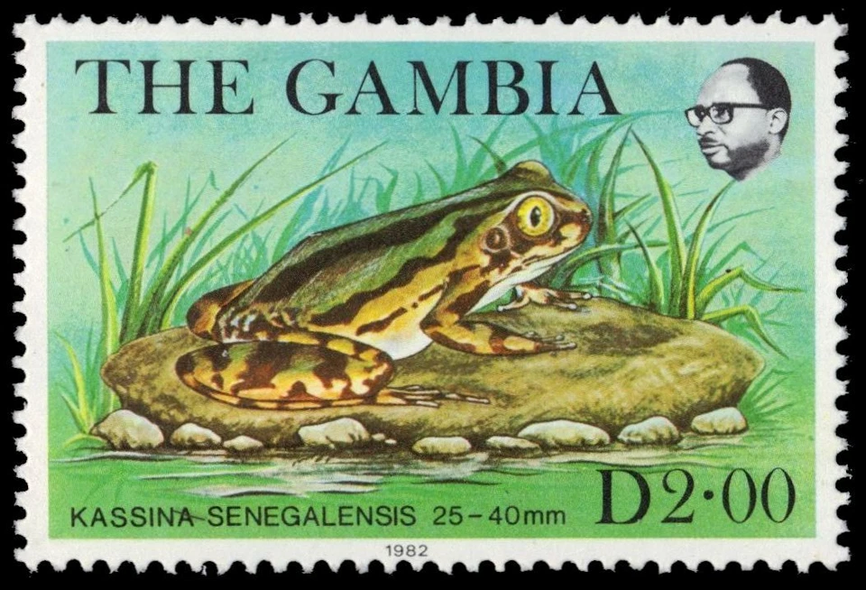 GAMBIA 458 (SG487) - Ranas de África Occidental "Kassina senegalensis" (pa5482) Foto 1 de 1