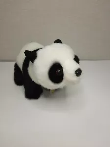 Peluche Aurora Miyoni Tots Baby Panda Nero Bianco 12" Panda Realistico Imbottito - Foto 1 di 7