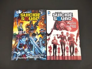 Nuevo cómic novela gráfica Pure Insanity volumen 1 y 2 Escuadrón Suicida de DC Comics - Imagen 1 de 7