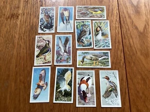 Bird Portraits Brooke Bond Tea Cards - CHOOSE THE ONES YOU WANT. - Picture 1 of 2