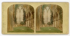 Victorian Coloured Stereoview 1800s Netley Abbey Ruins Southampton - Picture 1 of 2