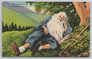 Postkarte Vintage Rip Van Winkle in den Catskill Mountains, New York. - Bild 1 von 2