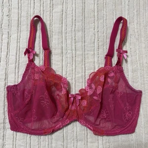 Prima Donna Wonderland Bra Pink Embroidered Size 32E - Picture 1 of 3