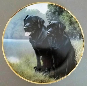 Placa de Coleccionista Franklin Mint Sporting Companions Labrador Perro Nigel Hemming Usada en Excelente Condición - Imagen 1 de 6
