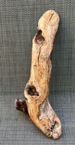 Natural Driftwood for Fish & Reptile Aquariums, Crafts, Landscapes, Decor 11x5x2 - Picture 1 of 4
