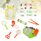 22 Pcs Child Outdoor Educational Toy Catcher Kit for Kids