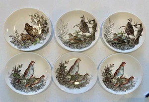 6er Set Vintage Johnson Bros Spiel Vögel Salatteller - Bild 1 von 4