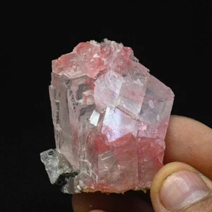 New Find : Reddish pink calcite with mesolite from Moldy Raspberry pocket #2962 - Picture 1 of 6