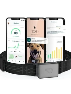 Whistle Switch GPS + Health + Fitness Smart Dog Collar, 24/7 Dog GPS Tracker - Picture 1 of 6