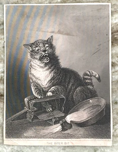 The Biter Bit Cat Trap Fireman's Banquet 1881 Kalamazoo Michigan Trade Card - Picture 1 of 3