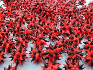 Cuentas de goma rojas y negras de 8 mm - Juego de 10 - Imagen 1 de 3