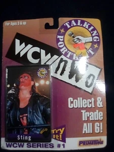 wcw/nwo sprechendes Portrait - Bild 1 von 3