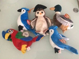 5 PC. TY Beanie Babies BIRDS Rare Retired BLUE JAY PARROT OWL DUCK 1990'S - Picture 1 of 8