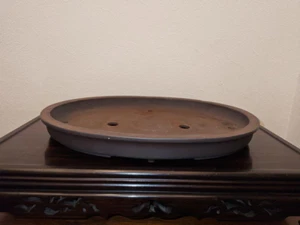 Extra Grande Muy Raro 48cm" 山秋 " Yamaaki Tradicional Tokoname Bonsai Pot Japón - Imagen 1 de 14