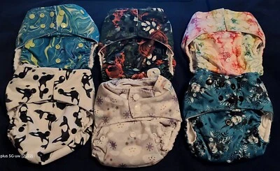 Little Fanny Pantalones Fundas de Pañales Ajustables Usado Sin Usar Foto 1 de 4