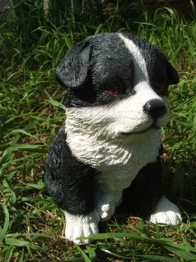 Latex mould / mold for a Sitting Border Collie Dog. - Image 1 of 1