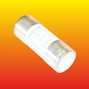 LEGRAND FUSE 25A 500V Am (22 x 58) mm CYLINDRICAL CERAMIC - Picture 1 of 3