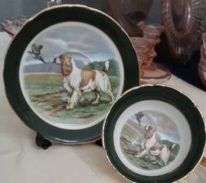 Regency English Setter Hund Fasan Tee Grün Tasse Untertasse Bone China England  - Bild 1 von 7