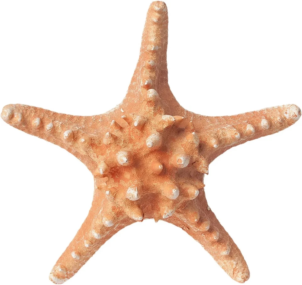 Clayre & Eef  XL Deko Seestern Maritim Keramik Terrasse Bad Braun Beige  16 cm - Bild 1 von 1