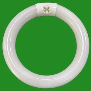 1x 22W G10q 4-Pin T9 rund 210mm Rundlampe Leuchtstoffröhre 4000K Glühbirne - Bild 1 von 5
