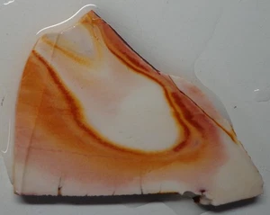 WRG- Wonderstone Rhyolite Slab 29 grams Utah Lapidary Old Stock - Picture 1 of 4