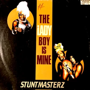 STUNTMASTERZ - LADY BOY IS MINE - 12" VINYL RECORD DJ - HOUSE RMX OF MODJO LADY - Picture 1 of 3