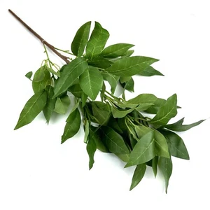 Large Artificial Bay Leaf Bush Plant 58cm - Decorative Faux Foliage Office Home - Picture 1 of 5