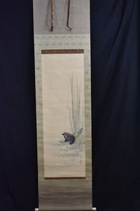JAPANESE KAKEJIKU SILK SCROLL BIRD IN POND WITH MINNOWS WITH BOX - Picture 1 of 18