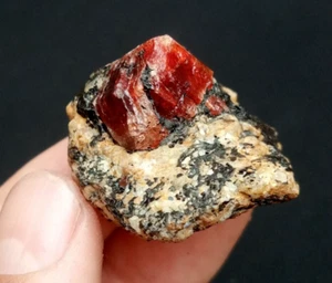 Zirkon mit Biotit aus Gilgit, Pakistan. - Bild 1 von 4