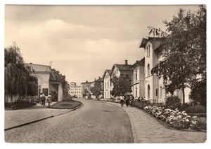 AK, Bad Doberan, OT Heiligendamm, Straßenpartie mit Villen, 1964 - Bild 1 von 1