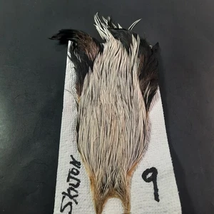 Silver Badger Trockenfliegen Hecheln Hals Cape Trockenfliegenbinden Federn #9 - Bild 1 von 6