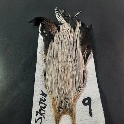 Silver Badger Seco Mosca Hackle Cuello Capa Seco Mosca Atar Plumas #9 Foto 1 de 4