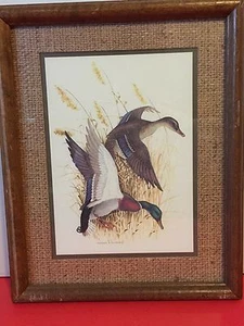 Vintage Charles E Murphy Mallard Duck Print Original Frame Rustic Decor Gift - Picture 1 of 7