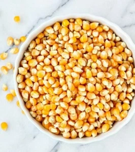 POPPING CORN For Pan Or Machine Maker Maize Seeds Popcorn Kernels 1kg 500g 2kg  - Picture 1 of 1