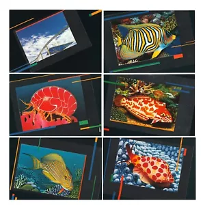 Brisbane Expo Fish 1988 🐟 Tarjetas máximas (maxi) (6) Tarjetas postales sin usar - Imagen 1 de 1