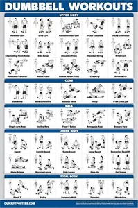 Palace Learning Dumbbell Workout Exercise Poster - Free Weight Body Building | - - Picture 1 of 12