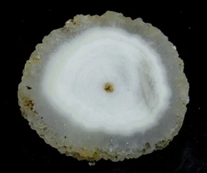 83 Ct 100% Natural Egg White Solar Eye Quartz RAW ROUGH SLICE Gemstone B82 - Picture 1 of 5