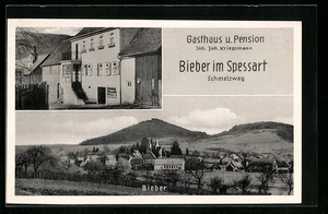 Bieber /Spessart, Gesamtansicht, Gasthaus-Pension Kriegsmann, Ansichtskarte  - Picture 1 of 2