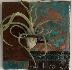Handmade Copper, Metal, Natural Stone Wall air plant hanger/holder 8”square - Picture 1 of 13
