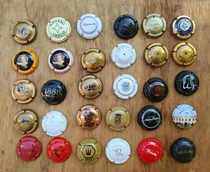SET 30 CAVA KORK CHAMPAGNERKAPPEN ARGENTINIEN - Bild 1 von 2