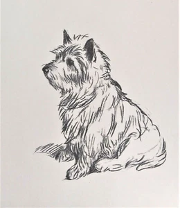 Sealyham Terrier 1937, litografía de Lucy Dawson, impresión de perro vintage - Imagen 1 de 3