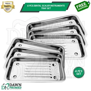 Set 6 Pezzi Vassoio Scaler Dentale per 7 Strumenti Sterilizzazione Strumento Medico Chirurgico - Foto 1 di 8